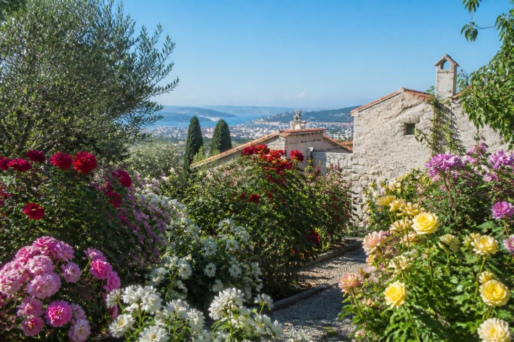 découvrez quelles variétés de rosiers sont parfaitement adaptées au climat méditerranéen de marseille pour embellir votre jardin avec des fleurs épanouies toute l'année.